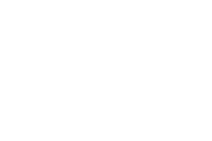 NetDesign Logo