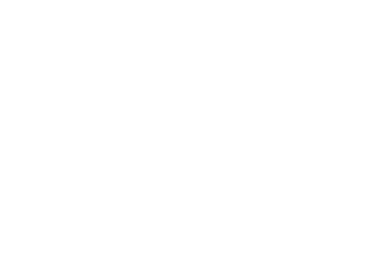 Southwest logo