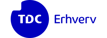 TDC_Erhverv_2021